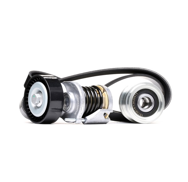 OEM 030145933E RIDEX  Keilrippenriemensatz 542R0280 für VW, AUDI, SKODA, SEAT