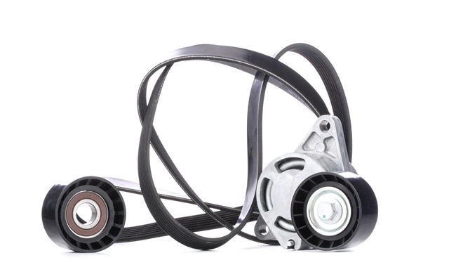 RIDEX Jeu de courroies trapézoïdales à nervures (542R0282) pour RENAULT Trafic II Van (FL) 2.5 dCi 145 (FL0J) (107 KW / 146 CH / de 2006)