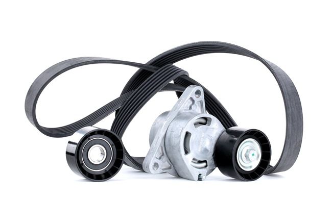 OEM MZ690266 RIDEX Kit Cinghie Poly-V 542R0289 per MITSUBISHI