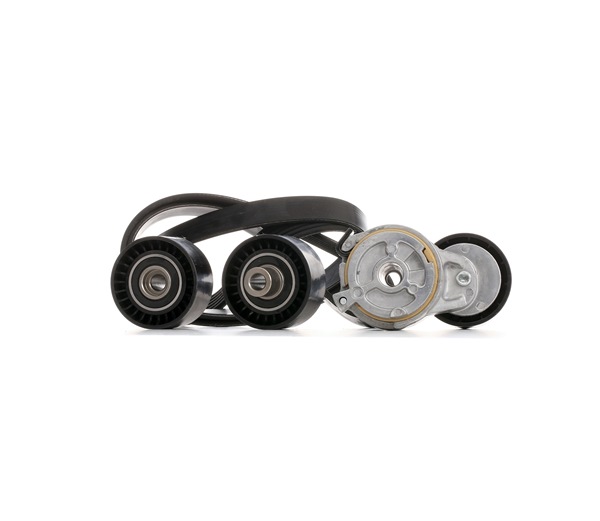 Poly V-riem set (SKRBS-1200296) van STARK Voor CITROËN Jumpy MPV (VF7) 1.6 HDi 16V (66 KW / 90 PK / Van 2007)