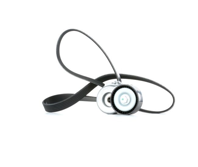 OEM 55185077 STARK Juego de correas trapeciales poli V SKRBS-1200298 para VOLKSWAGEN, BMW, MERCEDES-BENZ, SEAT, RENAULT
