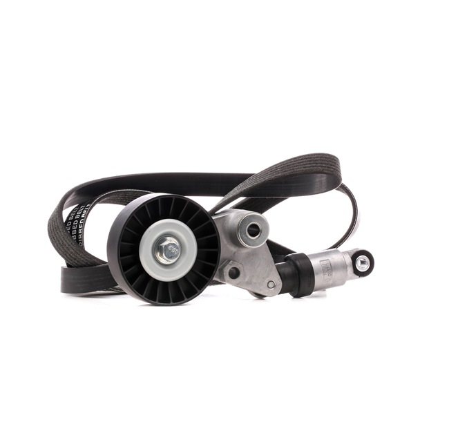 Ribrem STARK SKRBS-1200304