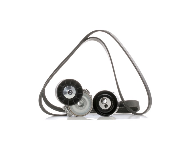 Poly V-riem set (542R0310) van RIDEX Voor PEUGEOT 206 SW (2E/K) 2.0 HDi (66 KW / 90 PK / Van 2002)