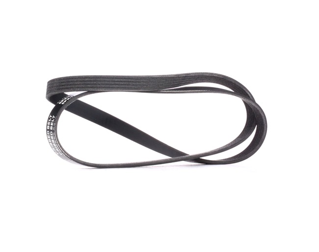 PACEMAN Cinghia servizi 305P0417 RIDEX