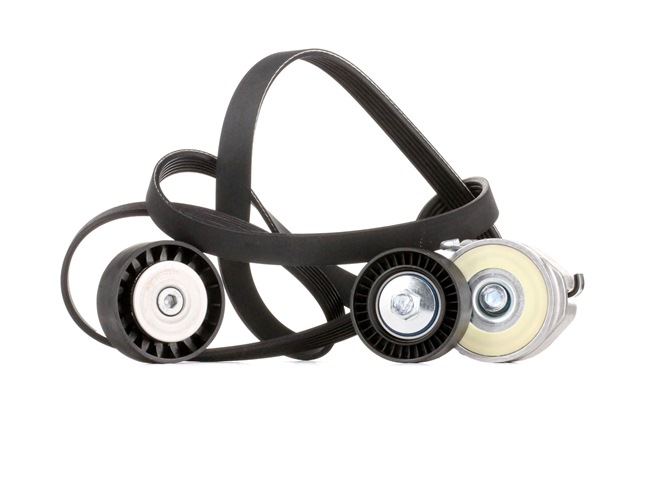 Poly V-riem set (542R0316) van RIDEX Voor FIAT DOBLO Open laadbak/ Chassis (263) 1.6 D Multijet (263YXD1B, 263XYR1B, 263YXX1B, 263HXD1B,... (77 KW / 105 PK / Van 2010)