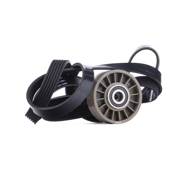 koop Poly V-riem set - STARK (SKRBS-1200322)