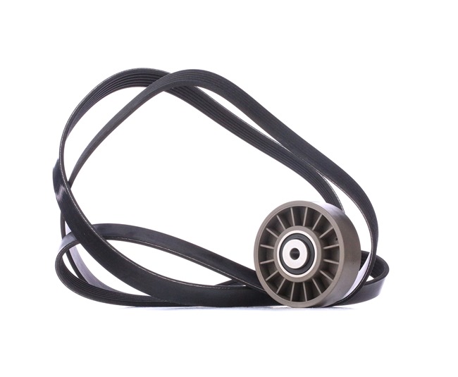 Poly V-riem set 542R0323 van RIDEX