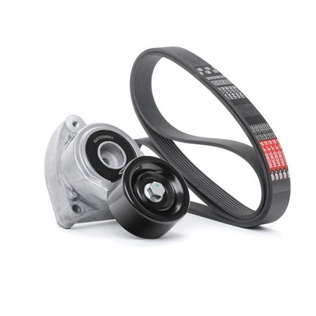 ELEMENT Jogo de correias trapezoidais estriadas 542R0324 RIDEX