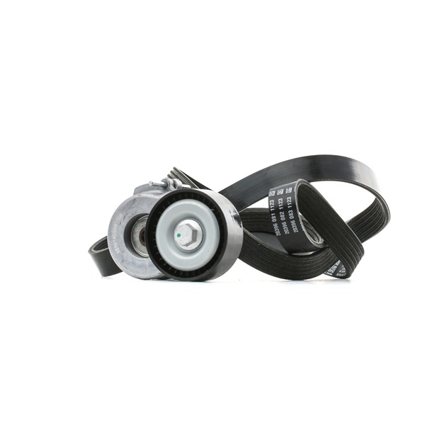 Poly V-riem set (542R0329) van RIDEX Voor FIAT 500L (351_, 352_) 1.3 D Multijet (199.LYM11, 199.LYM1A) (70 KW / 95 PK / Van 2014)