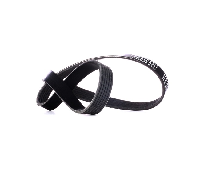 RIDEX Multiriem 305P0425 voor CUPRA