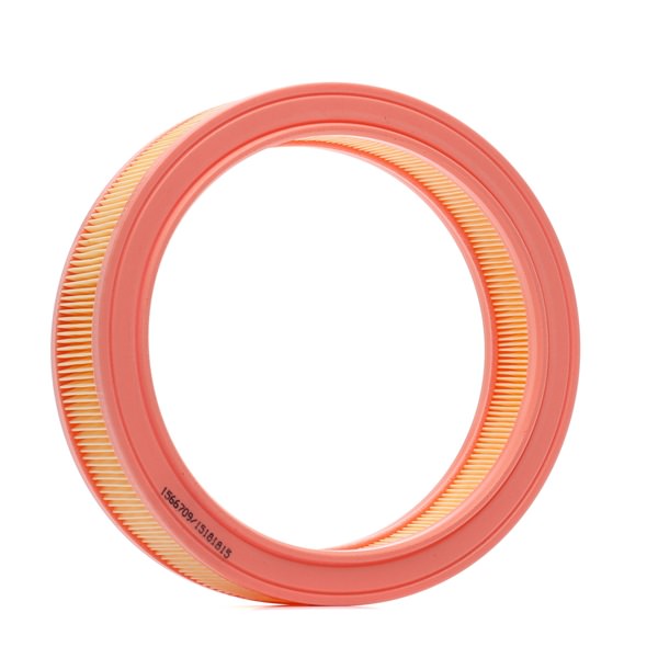 RIDEX Luchtfilter 8A0972