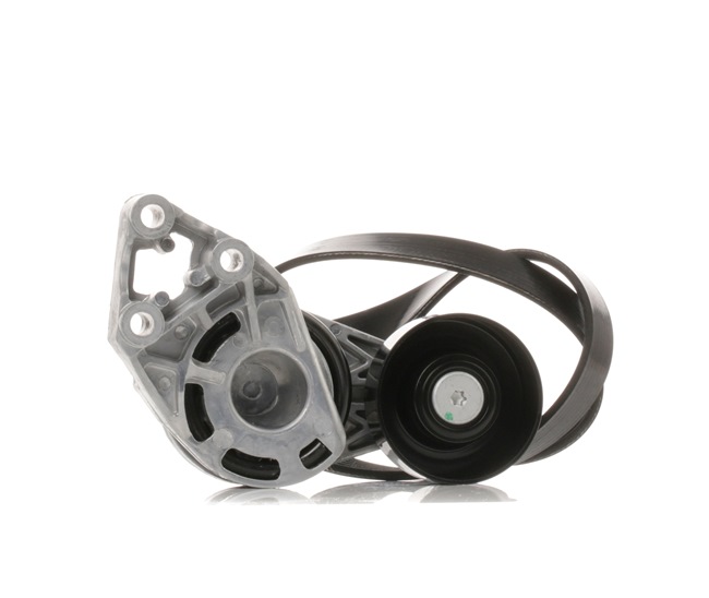 OEM 045903137E RIDEX Jeu de courroies trapézoïdales à nervures 542R0356 pour RENAULT, VOLKSWAGEN, AUDI, OPEL, SEAT