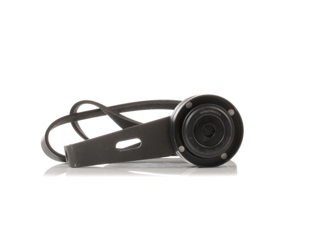 Poly V-riem set (542R0381) van RIDEX Voor CITROËN JUMPY Open laadbak/ Chassis (BU_, BV_, BW_, BX_) 1.9 TD (68 KW / 92 PK / Van 1999)