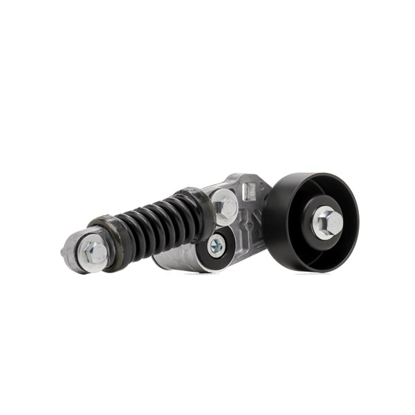 Spanrol, poly V-riem (SKTP-0600331) van STARK Voor PEUGEOT 206 SW (2E/K) 1.6 LPG (80 KW / 109 PK / Van 2002)