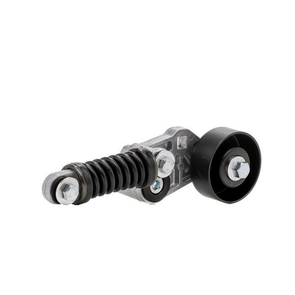 Spanrol, poly V-riem (310T0319) van RIDEX Voor PEUGEOT 206 SW (2E/K) 1.1 (44 KW / 60 PK / Van 2002)