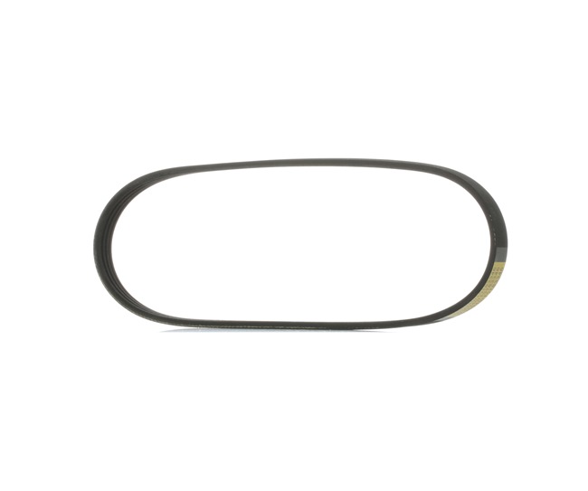 RIDEX Correia trapezoidal estriada (305P0429) para VAUXHALL INSIGNIA Mk I (A) Combi 1.6 (85 KW / 116 CV / de 2008)