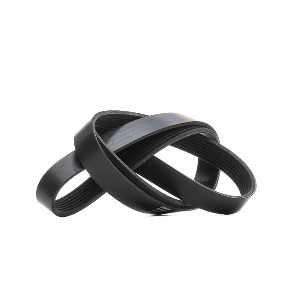 Multireim (305P0431) fra RIDEX for RENAULT Captur (J5_, H5_) 1.2 T (83 KW / 113 HK / Fra 2013)
