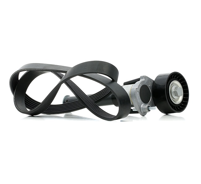 Poly V-riem set (542R0390) van RIDEX Voor VW Passat Variant (3C5) 1.8 TSI (118 KW / 160 PK / Van 2007)