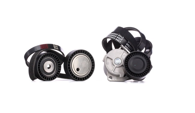 koop Poly V-riem set - STARK (SKRBS-1200406)