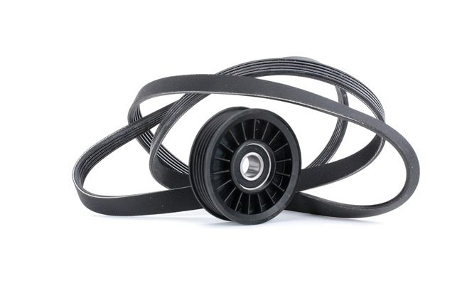 RIDEX Jogo de correias trapezoidais estriadas (542R0424) para MERCEDES-BENZ Classe C Sedan (W204) C 220 CDI (204.008) (125 KW / 170 CV / de 2007)