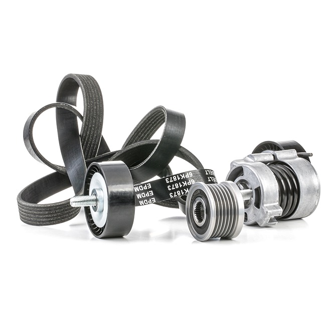 OEM 1440378 RIDEX V-Ribbed Belt Set 542R0429 for BMW, MINI