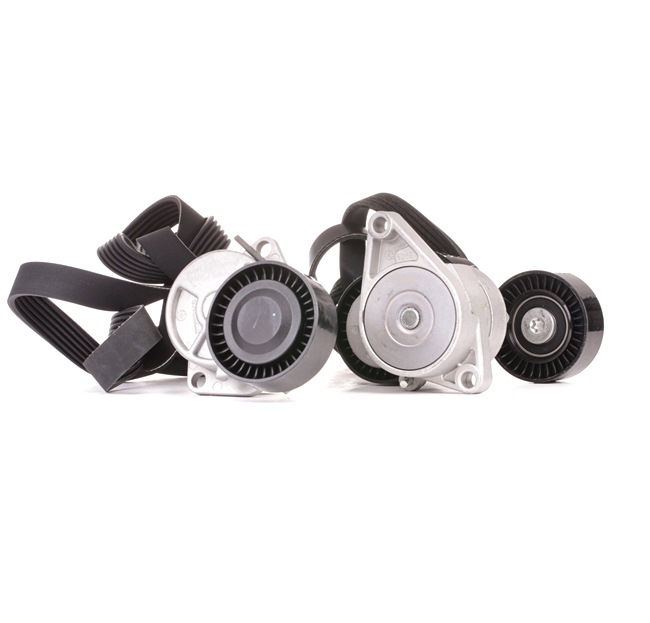 koop Poly V-riem set - STARK (SKRBS-1200443)