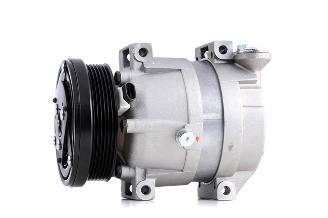 OEM 95954670 RIDEX AC-kompressor 447K0426 for FORD, OPEL, CHEVROLET, PONTIAC, DAEWOO