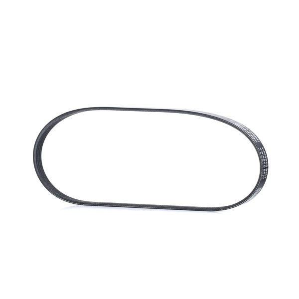 RIDEX Correia do alternador 305P0441