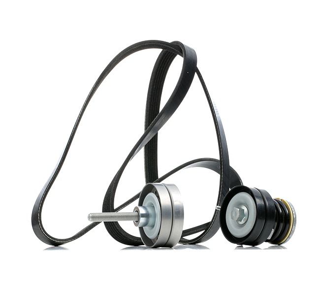 Cinghia servizi STARK SKRBS-1200448