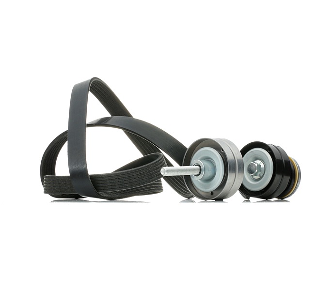 Poly V-riem set (542R0449) van RIDEX Voor VW Eos (1F7, 1F8) 1.4 TSI (118 KW / 160 PK / Van 2008)