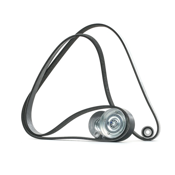 OEM 7701477511 RIDEX  Keilrippenriemensatz 542R0455 für RENAULT