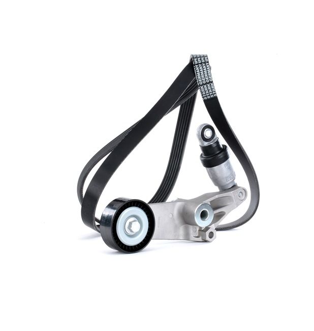 Cinghia servizi STARK SKRBS-1200467