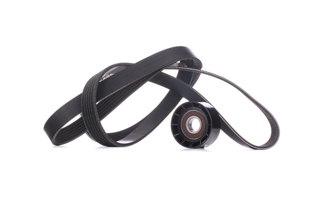 Poly V-riem set (SKRBS-1200470) van STARK Voor RENAULT CLIO II (BB0/1/2_, CB0/1/2_) 1.6 Hi-Flex (CB0H) (86 KW / 117 PK / Van 2005)