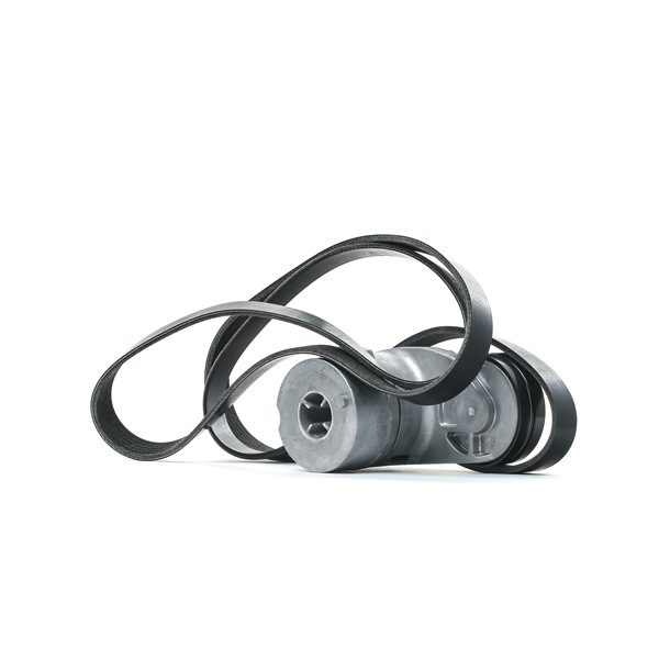 RIDEX Multiriem 542R0485