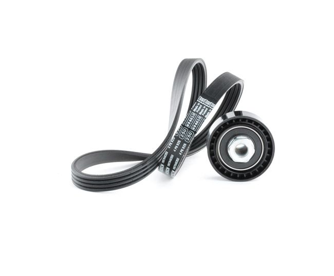 RIDEX Jeu de courroies trapézoïdales à nervures (542R0497) pour RENAULT Kangoo I Express (FC, FC0/1) 1.2 (FC01, FC0A, FC0F) (43 KW / 58 CH / de 1997)