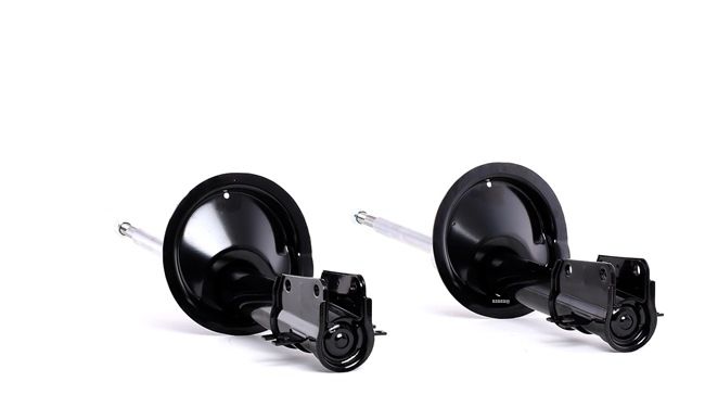 RIDEX Stoßdämpfer (854S2354) für FIAT Scudo Kombi (220_) 1.9 TD (68 KW / 92 PS / ab 1996)