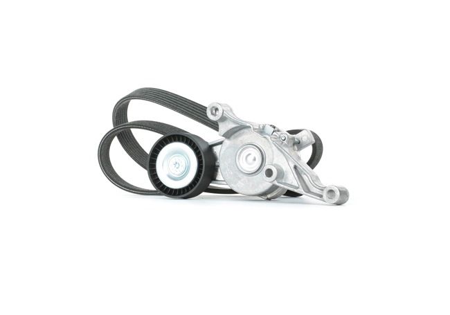OEM 03G903315C STARK Kit Cinghie Poly-V SKRBS-1200498 per VOLKSWAGEN, AUDI, FORD, CITROЁN, SEAT