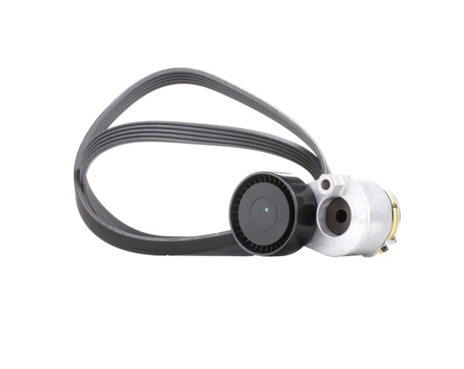 Poly V-riem set (542R0509) van RIDEX Voor RENAULT CLIO II (BB0/1/2_, CB0/1/2_) 1.5 dCi (42 KW / 57 PK / Van 2001)