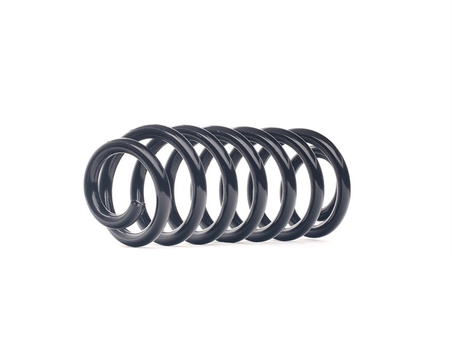 X5 Fjeder 188C0793 RIDEX