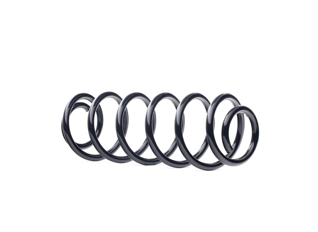 FUSION Fjeder 188C1354 RIDEX