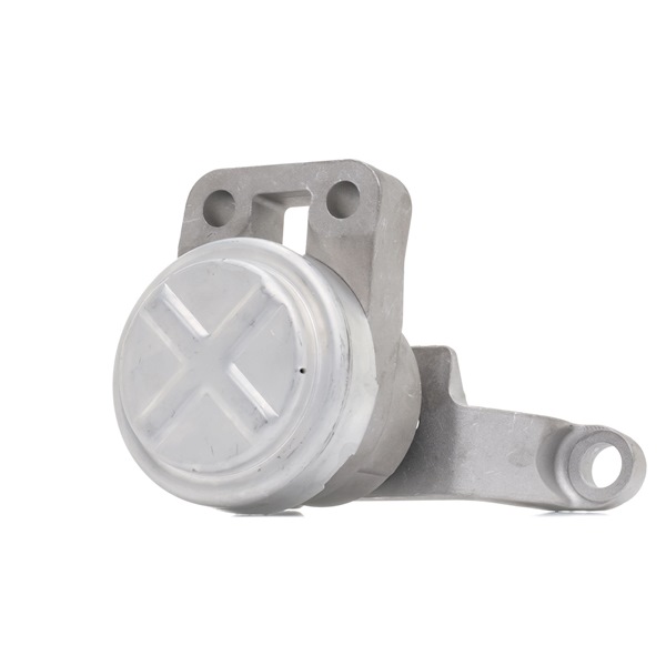 OEM 1376871 RIDEX Motorfeste 247E0387 for VOLVO, FORD