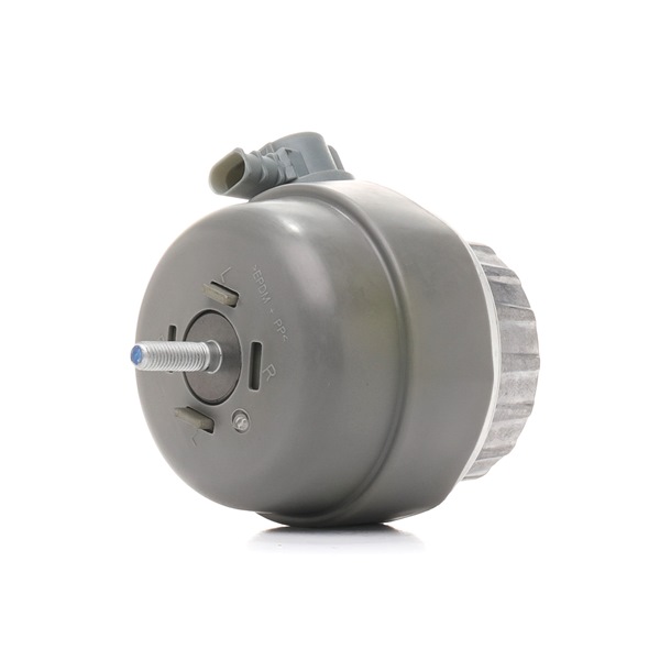 Supporto motore 247E0393 da RIDEX