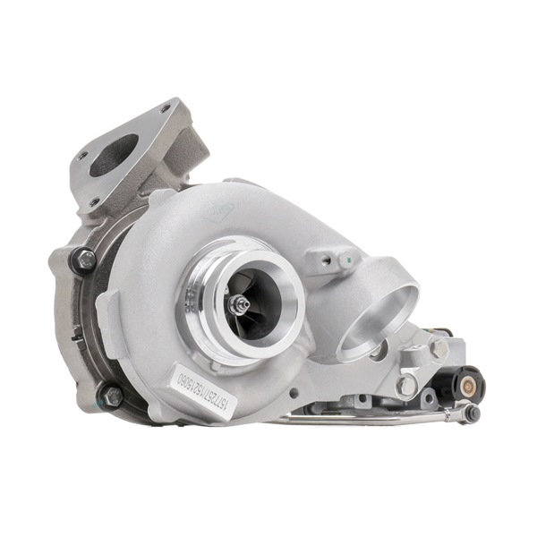 Turbocharger (2234C0288) van RIDEX Voor MERCEDES-BENZ SPRINTER 3,5-t Open laadbak/ Chassis (906) 316 CDI 4x4 (906.131, 906.133, 906.135, 906.231, 906.233... (120 KW / 163 PK / Van 2009)