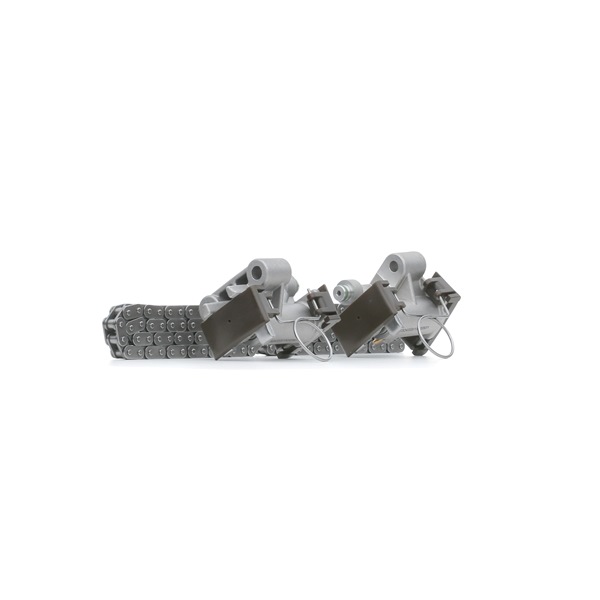 RIDEX Kit de cadena de distribución (1389T0041) para BMW X5 (E53) 4.4 i (210 KW / 286 CV / de 2000)