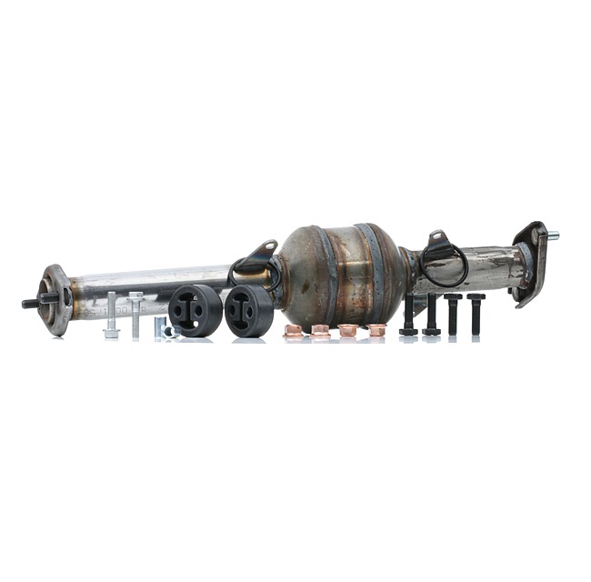 OEM 1425079GA0 RIDEX Katalysaattori 429C0323 varten MERCEDES-BENZ, SUZUKI
