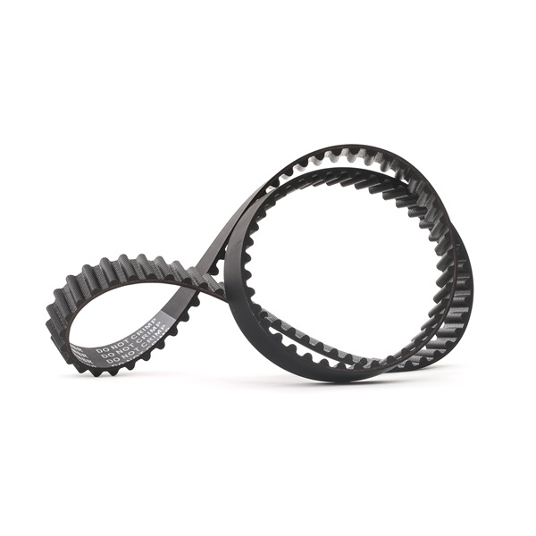 STREAM Correia dentada 306T0255 RIDEX
