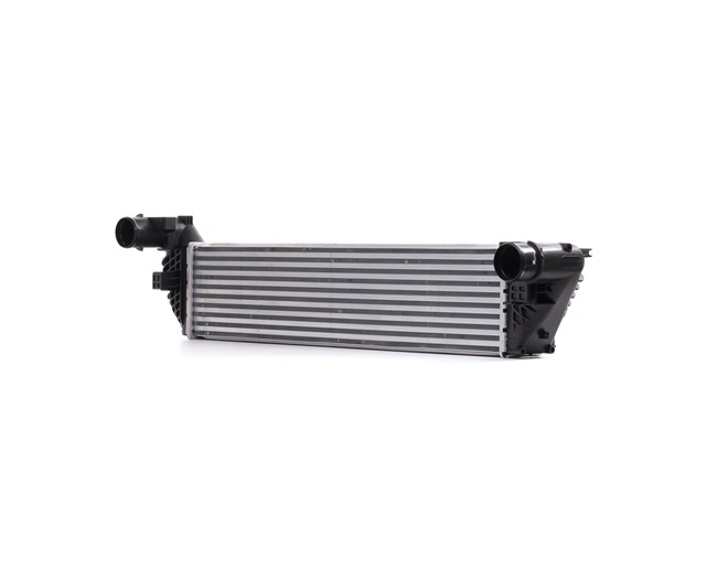OEM 8200301883 RIDEX Välijäähdytin 468I0102 varten VOLVO, RENAULT