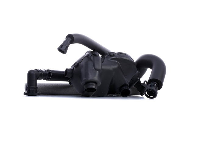 OEM 11617504536S1 RIDEX Venttiili, kampikammiotuuletus 3886V0033 varten BMW