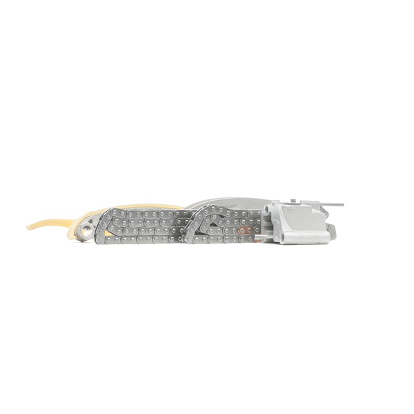 RIDEX Distributieketting 1389T0099