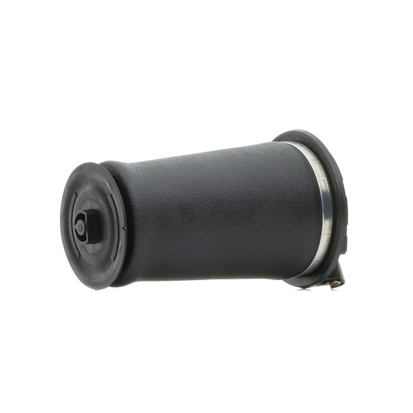 Ilmajousi 4119A0036 alkaen RIDEX
